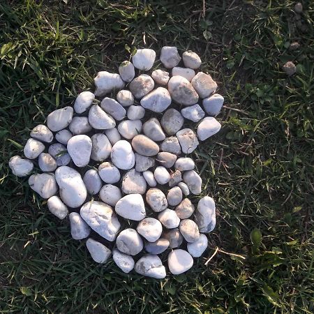 Apartmán Turisticna Kmetija Pri Rebkovih Ajdovščina Exteriér fotografie