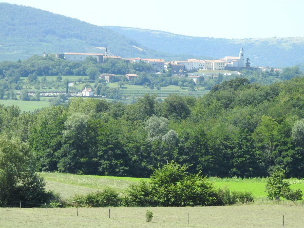 Apartmán Turisticna Kmetija Pri Rebkovih Ajdovščina Exteriér fotografie