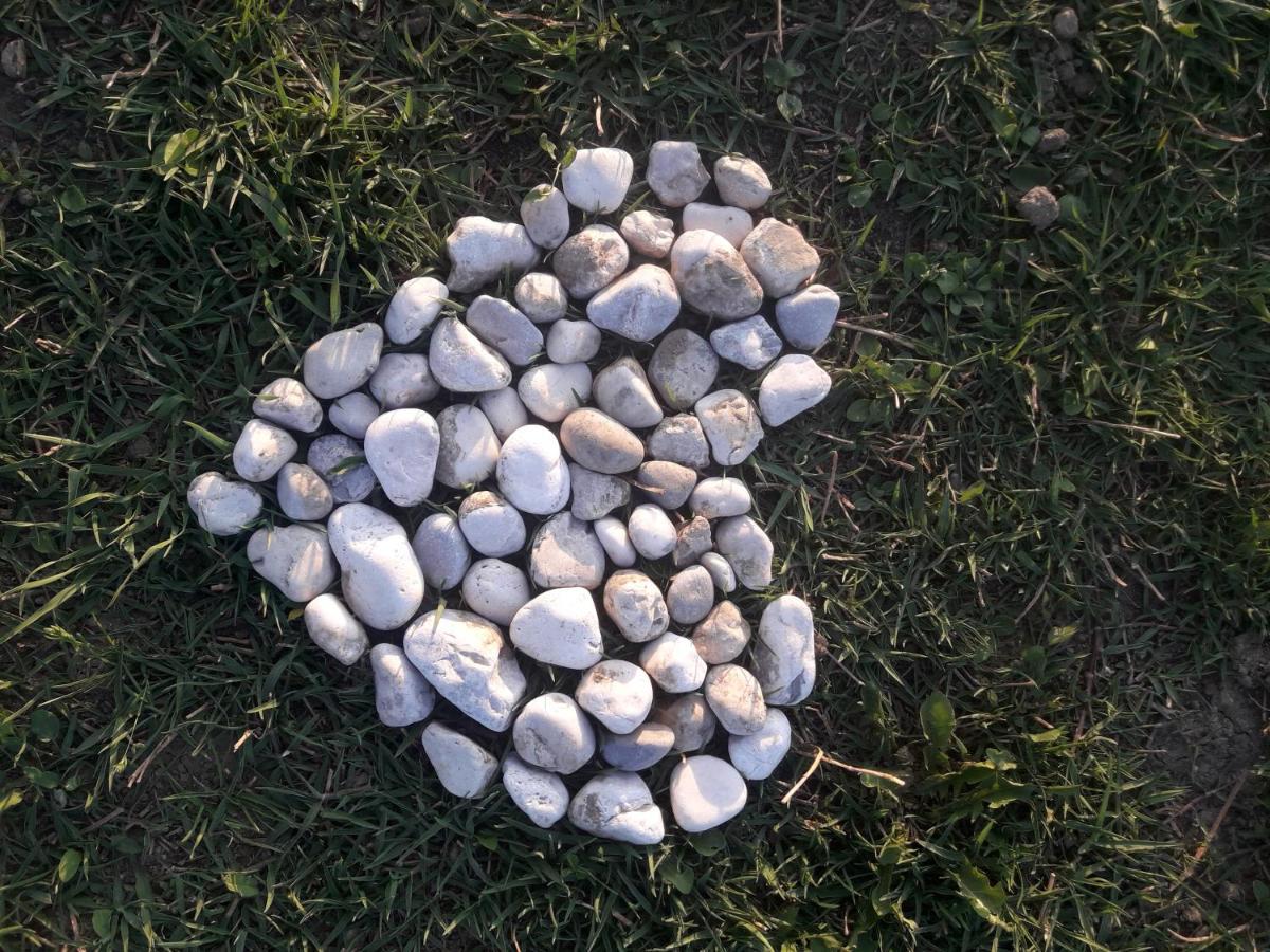 Apartmán Turisticna Kmetija Pri Rebkovih Ajdovščina Exteriér fotografie
